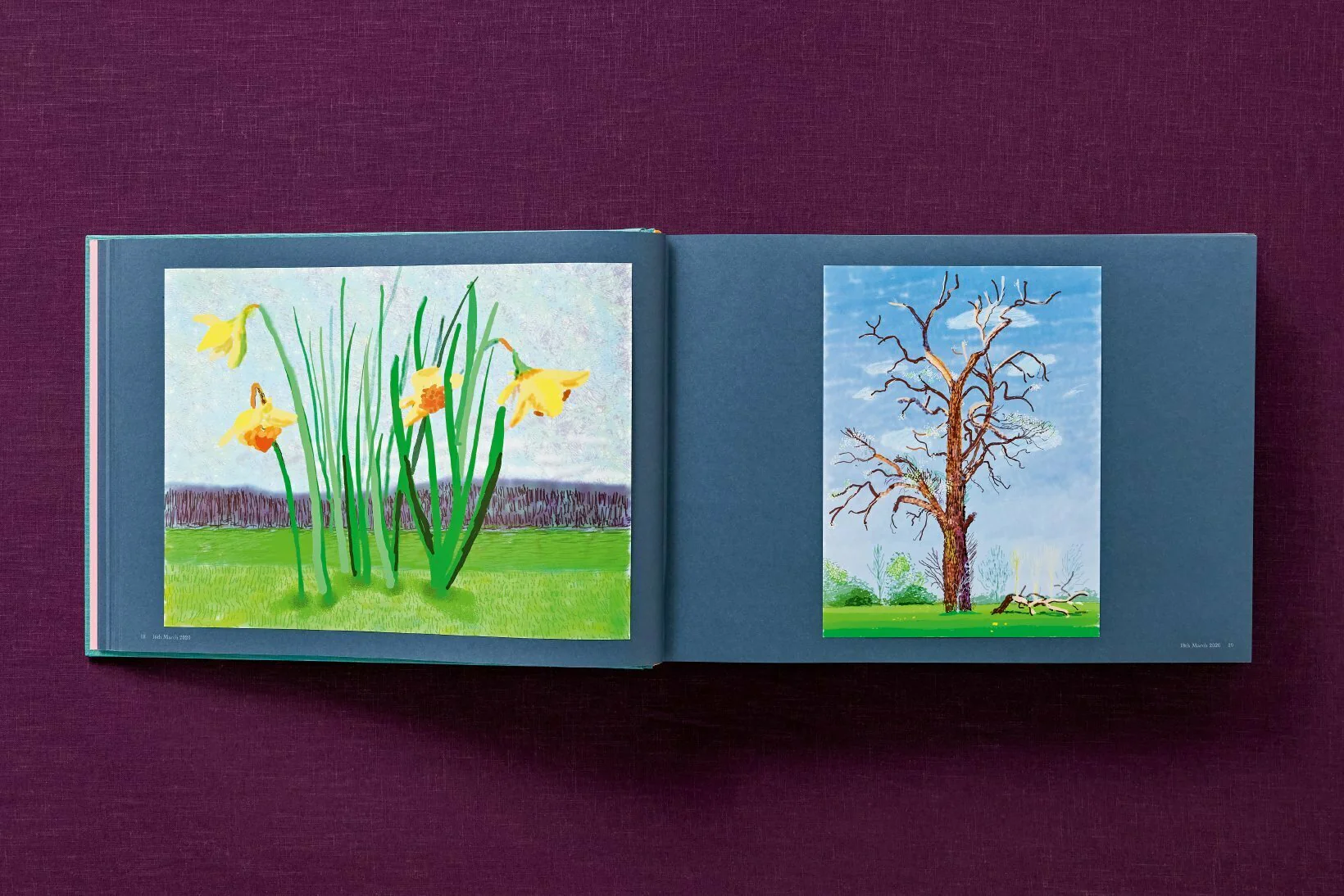 Product image 46